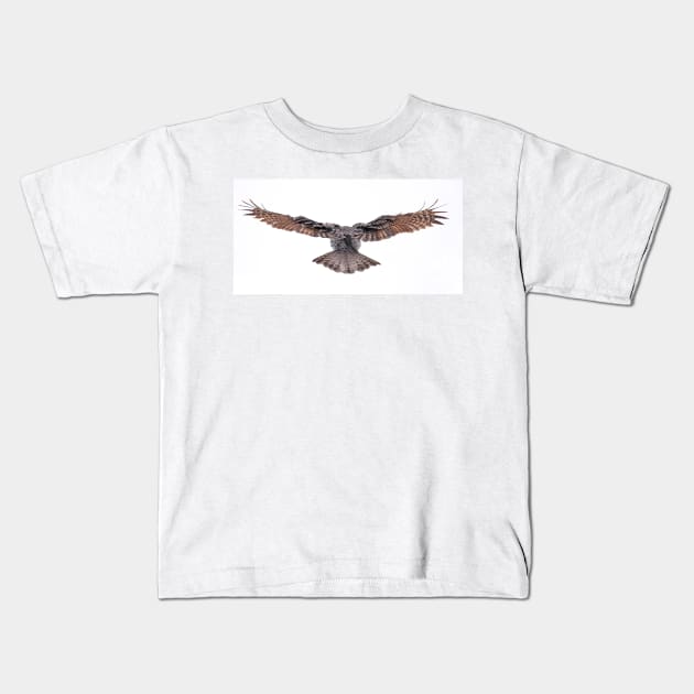 Wingspan - Great Grey Owl Kids T-Shirt by Jim Cumming